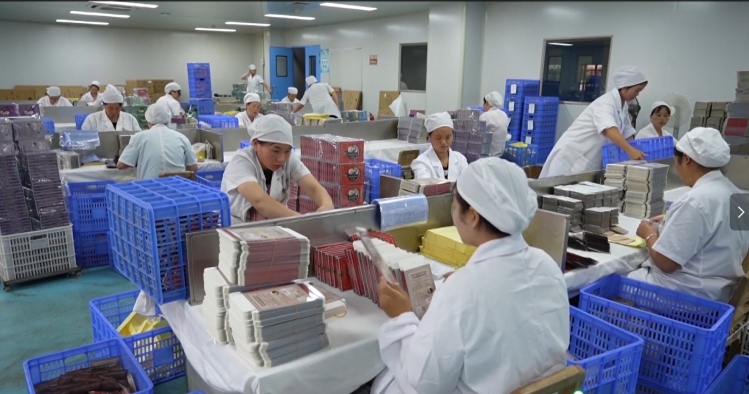 貴州制造丨貴州各地企業(yè)開足馬力沖刺年度目標 醫(yī)療器械生產